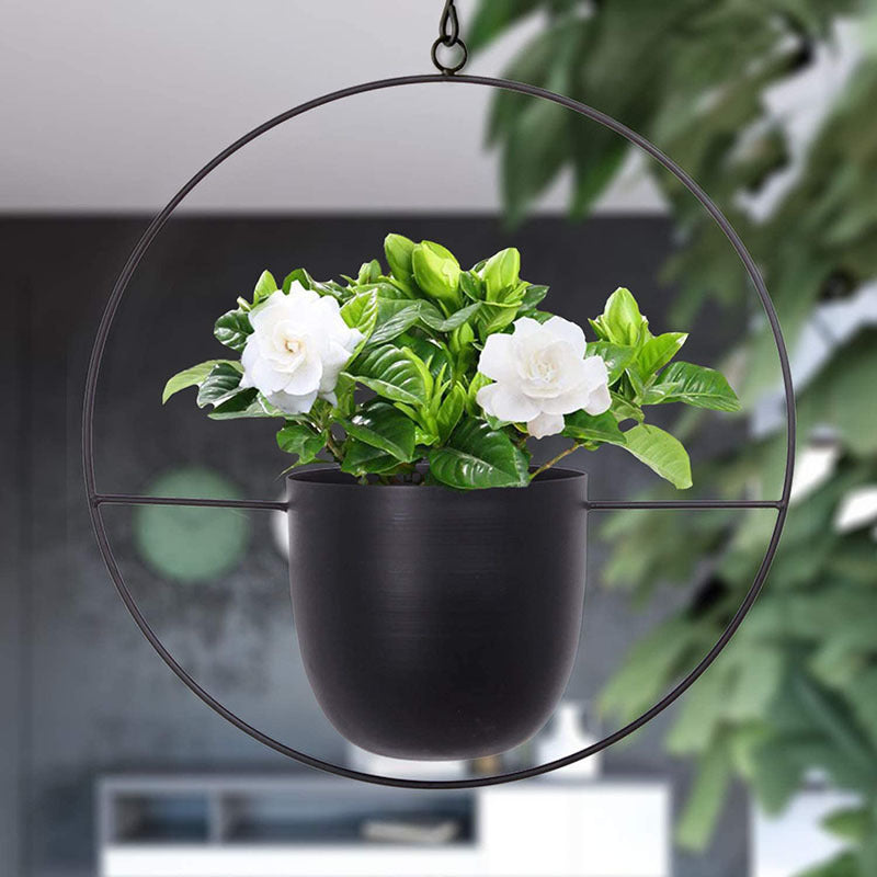 Iron Hanging Hydroponic Plant