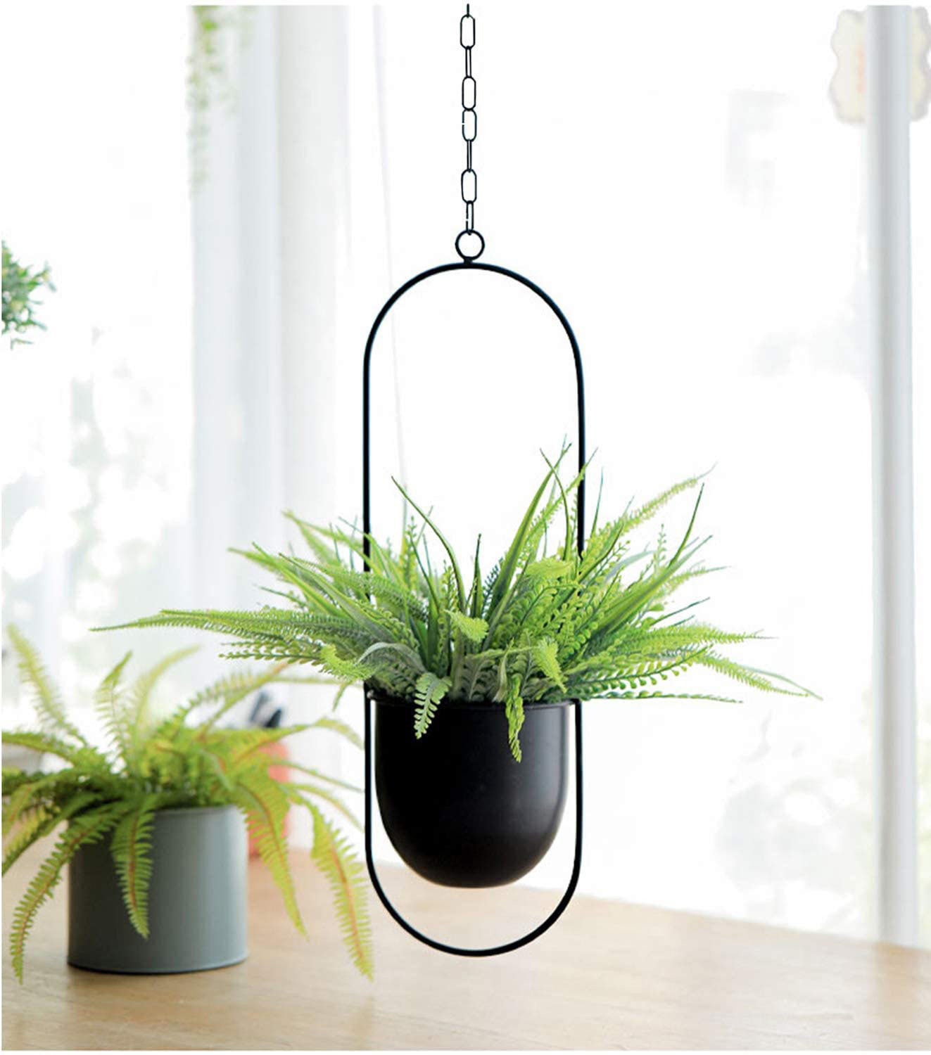 Iron Hanging Hydroponic Plant