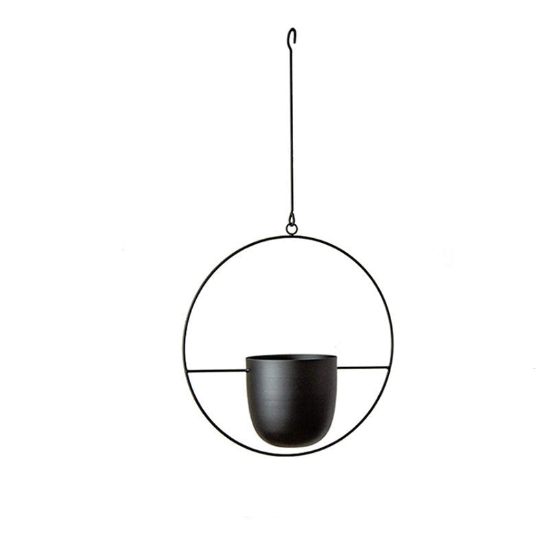 Iron Hanging Hydroponic Plant