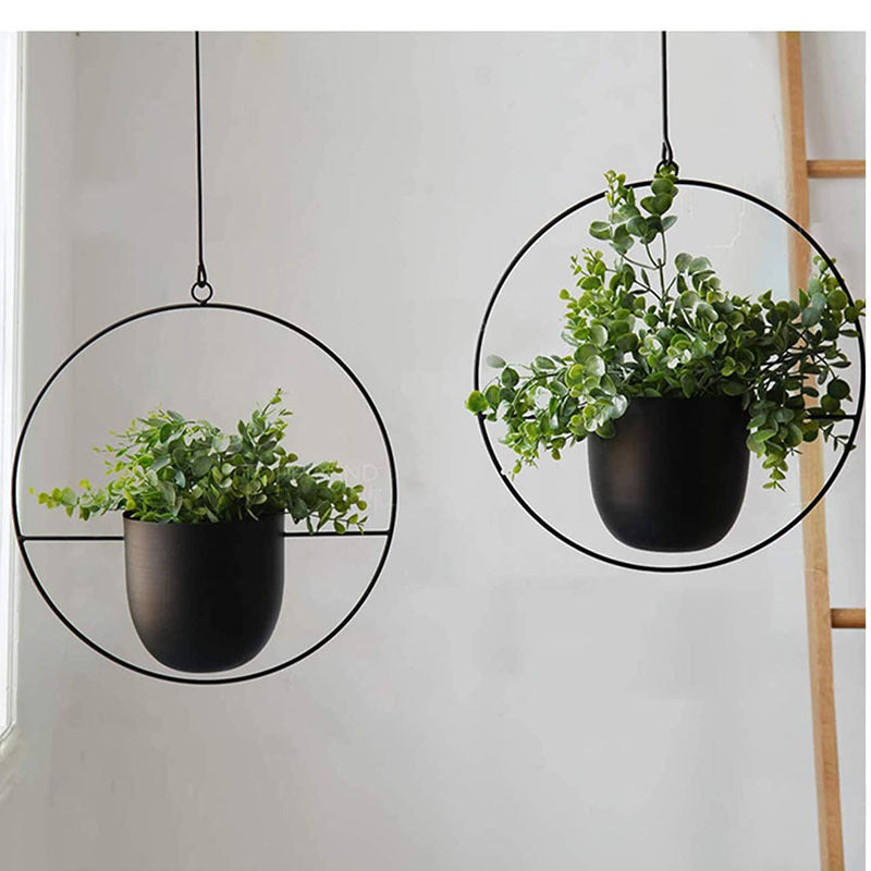 Iron Hanging Hydroponic Plant